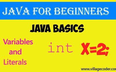 Variables and Literals in Java