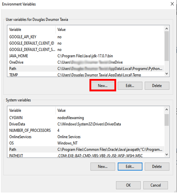 Add New Environment Variable name and value