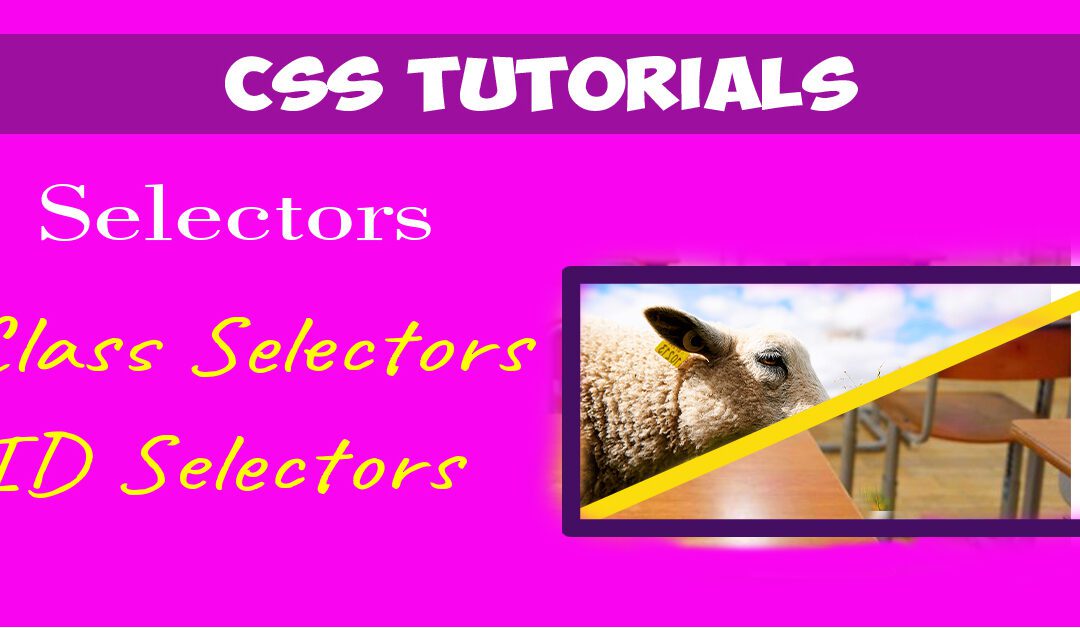 Class and ID Selectors