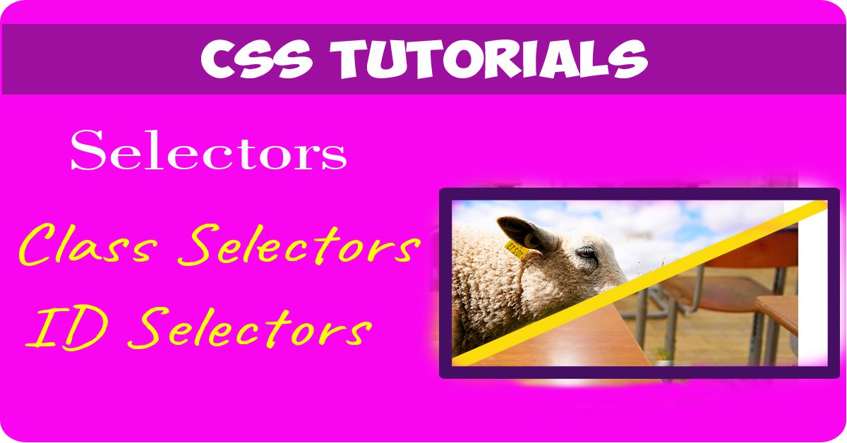 Selectors - class selectors - id selectors